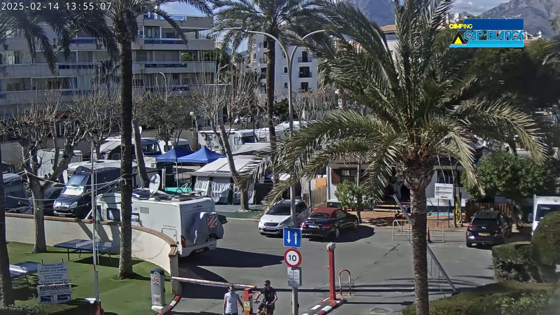 A sunny day at a campground shows numerous RVs and tents parked under palm trees near buildings, with cars in a nearby parking lot and two people walking.
