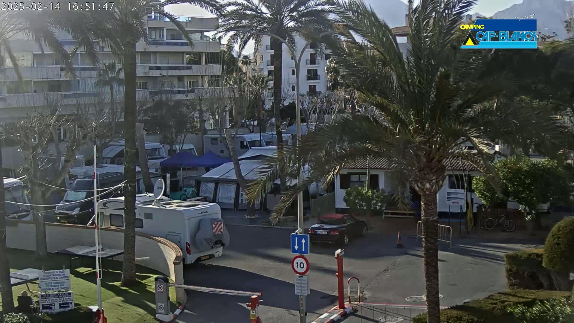 A sunny daytime view of a campground with numerous RVs and tents situated near buildings and palm trees.