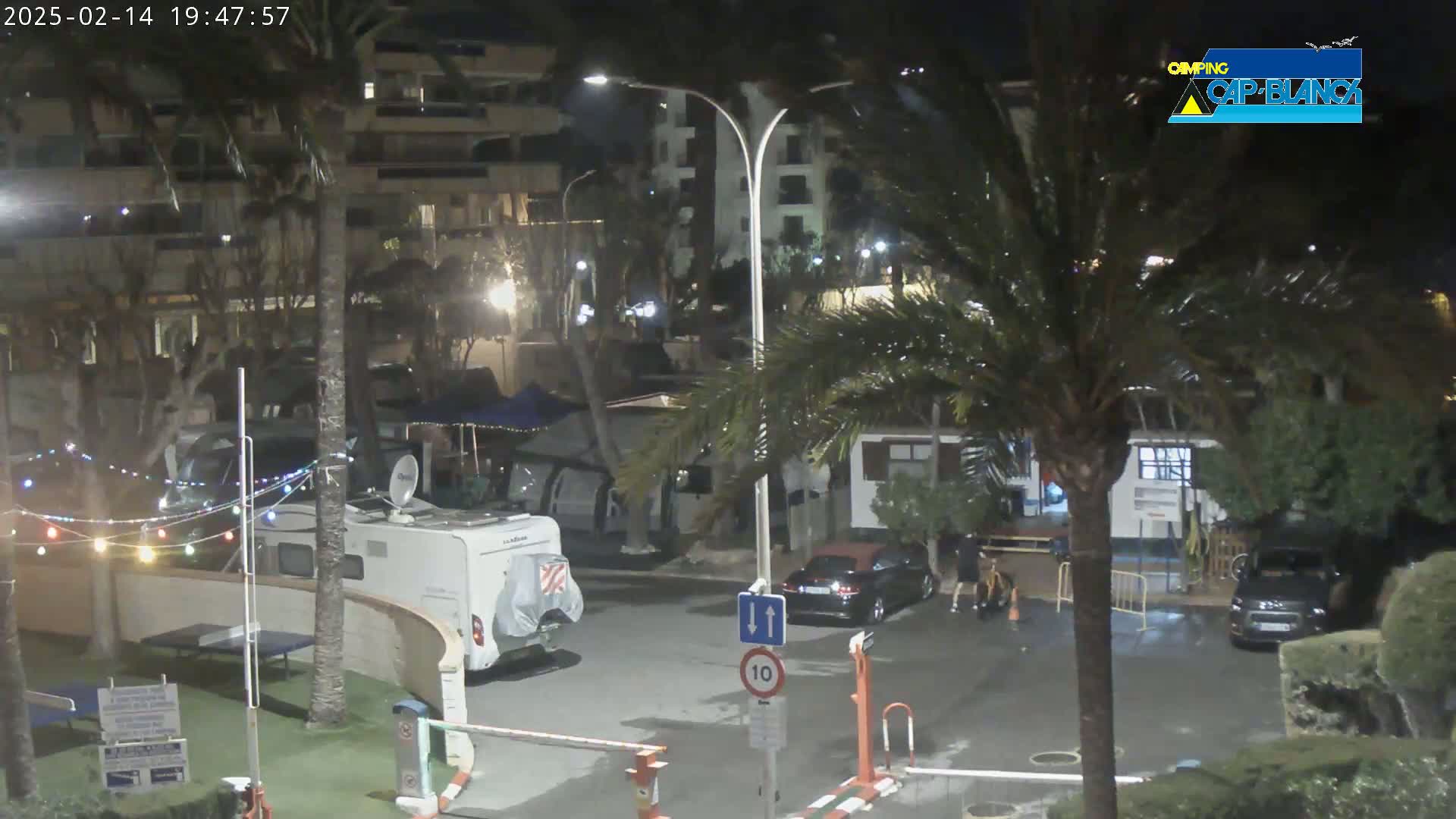 A nighttime view of a campground with RVs, cars, palm trees, and string lights.