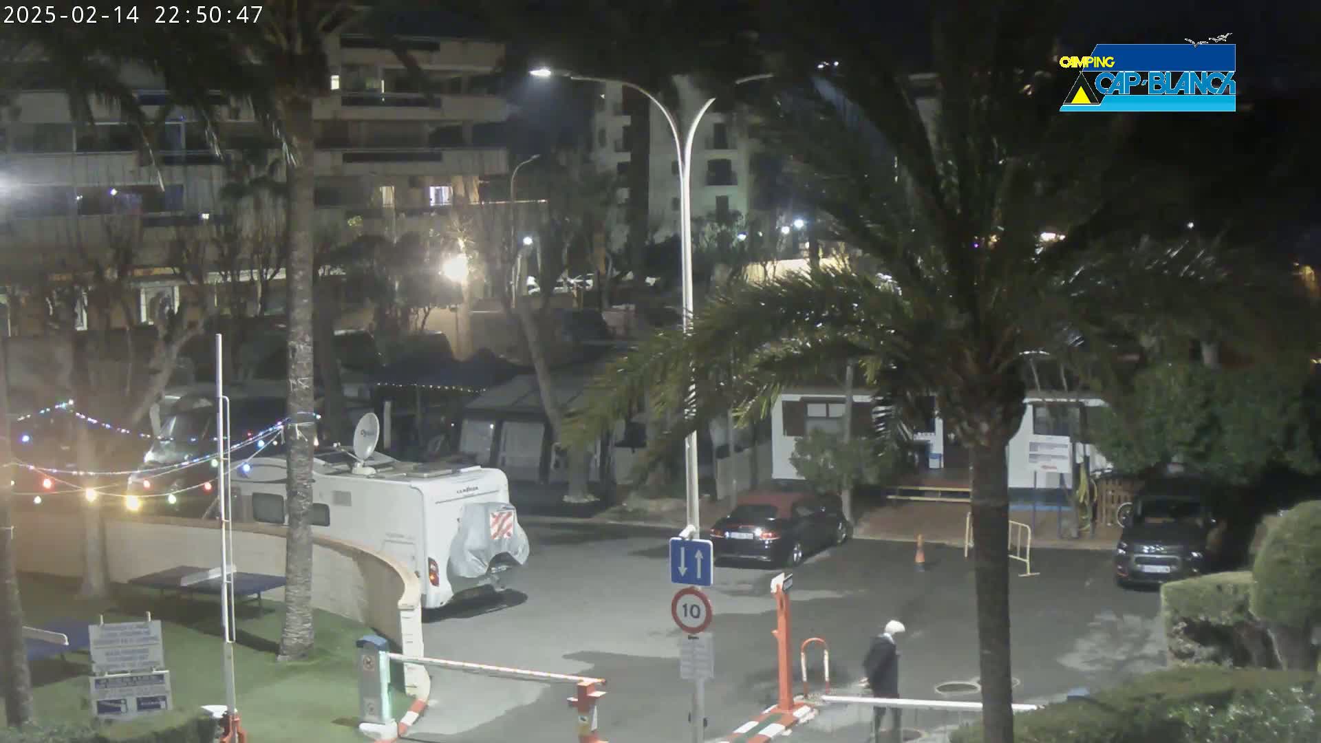 A nighttime view of a campground with cars, RVs, and palm trees, illuminated by streetlights.