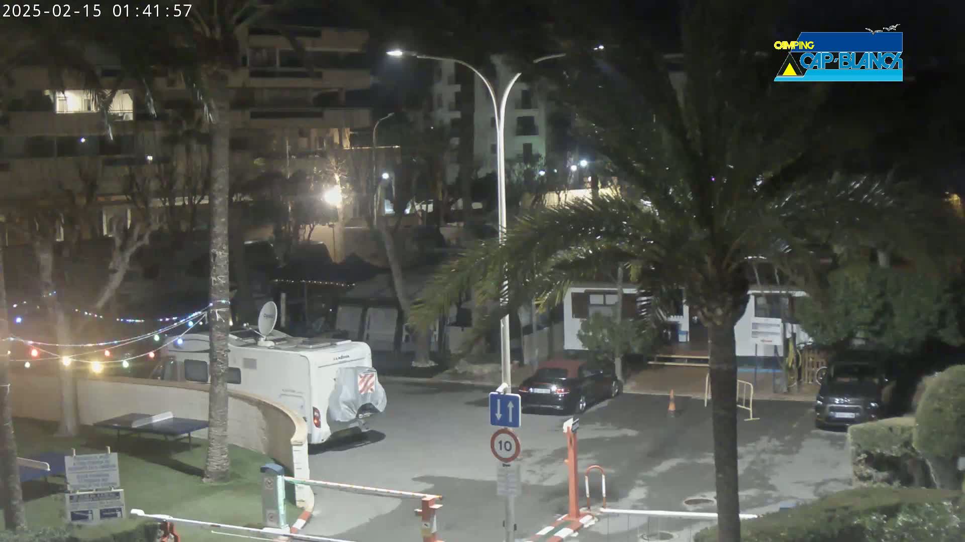 A nighttime scene of a parking lot with a camper van, cars, palm trees, and string lights, under slightly windy conditions.