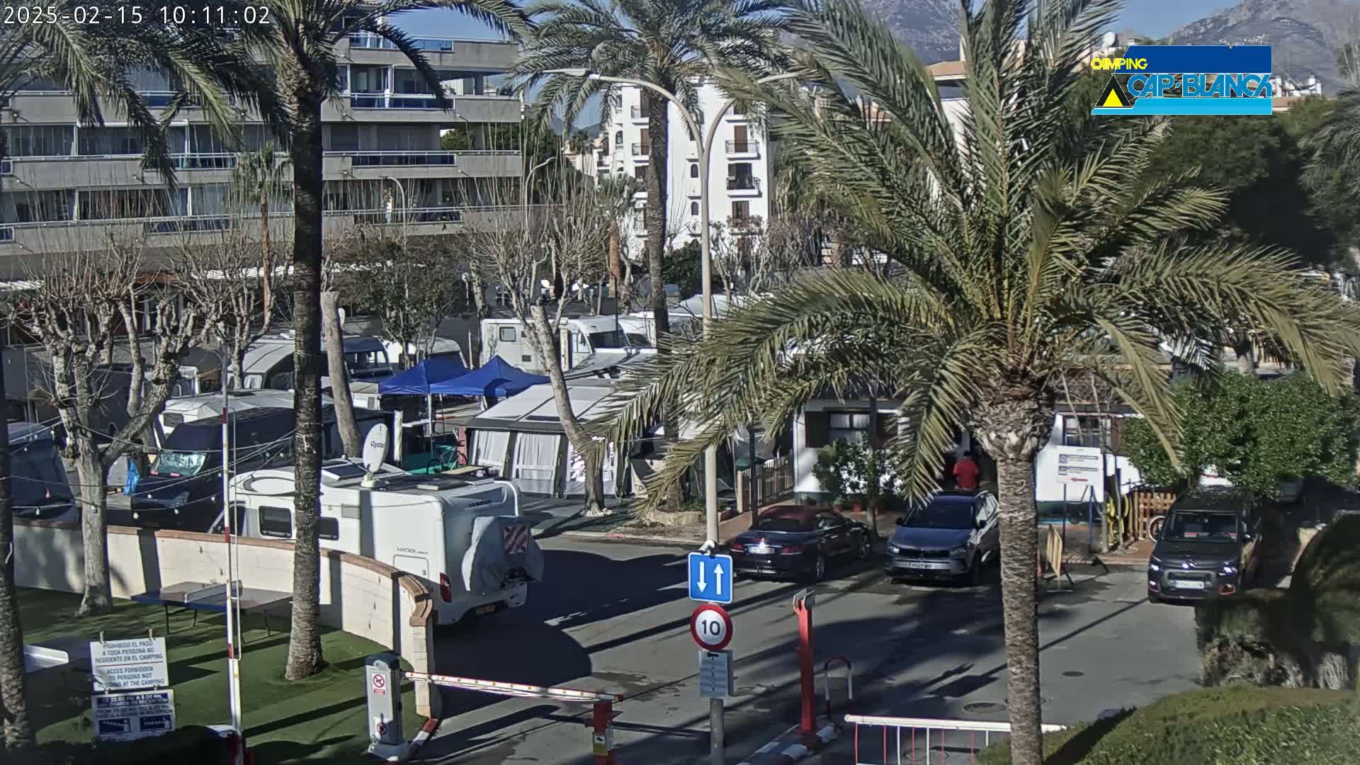 A sunny outdoor scene shows numerous RVs and cars parked in a campground surrounded by palm trees and buildings.