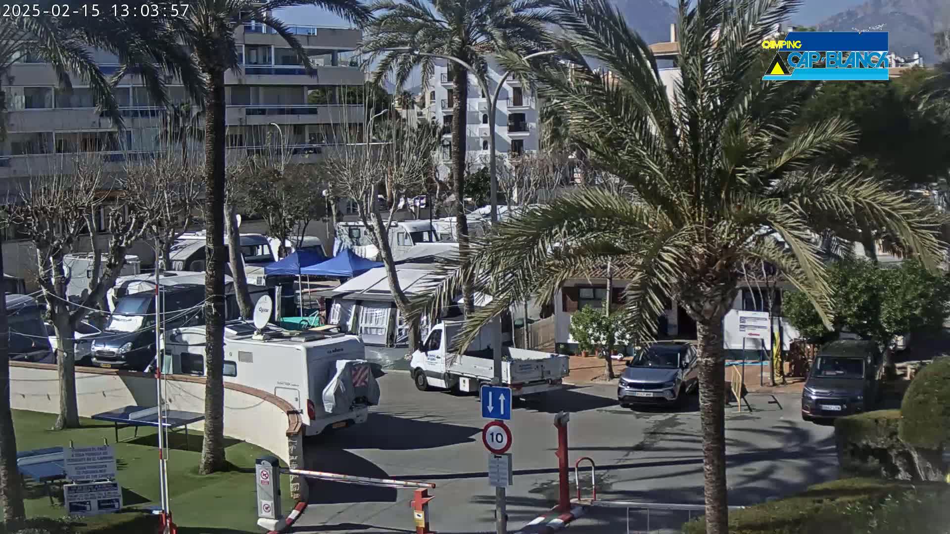 A sunny day at a campground with numerous RVs and cars parked, surrounded by palm trees and buildings.