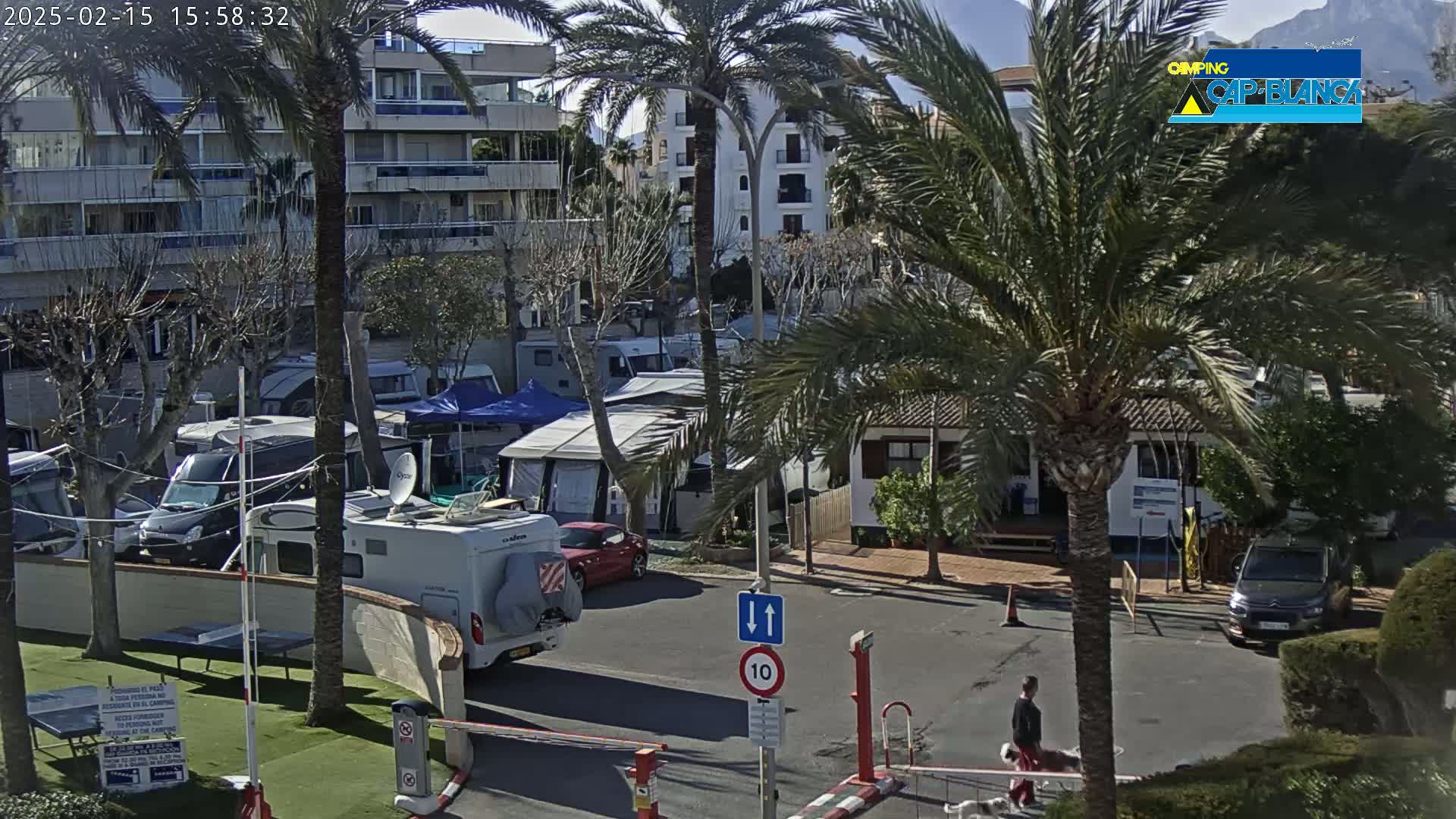 A sunny day at a campground with numerous RVs and campers parked among palm trees and low buildings, a person walking a dog in the foreground.