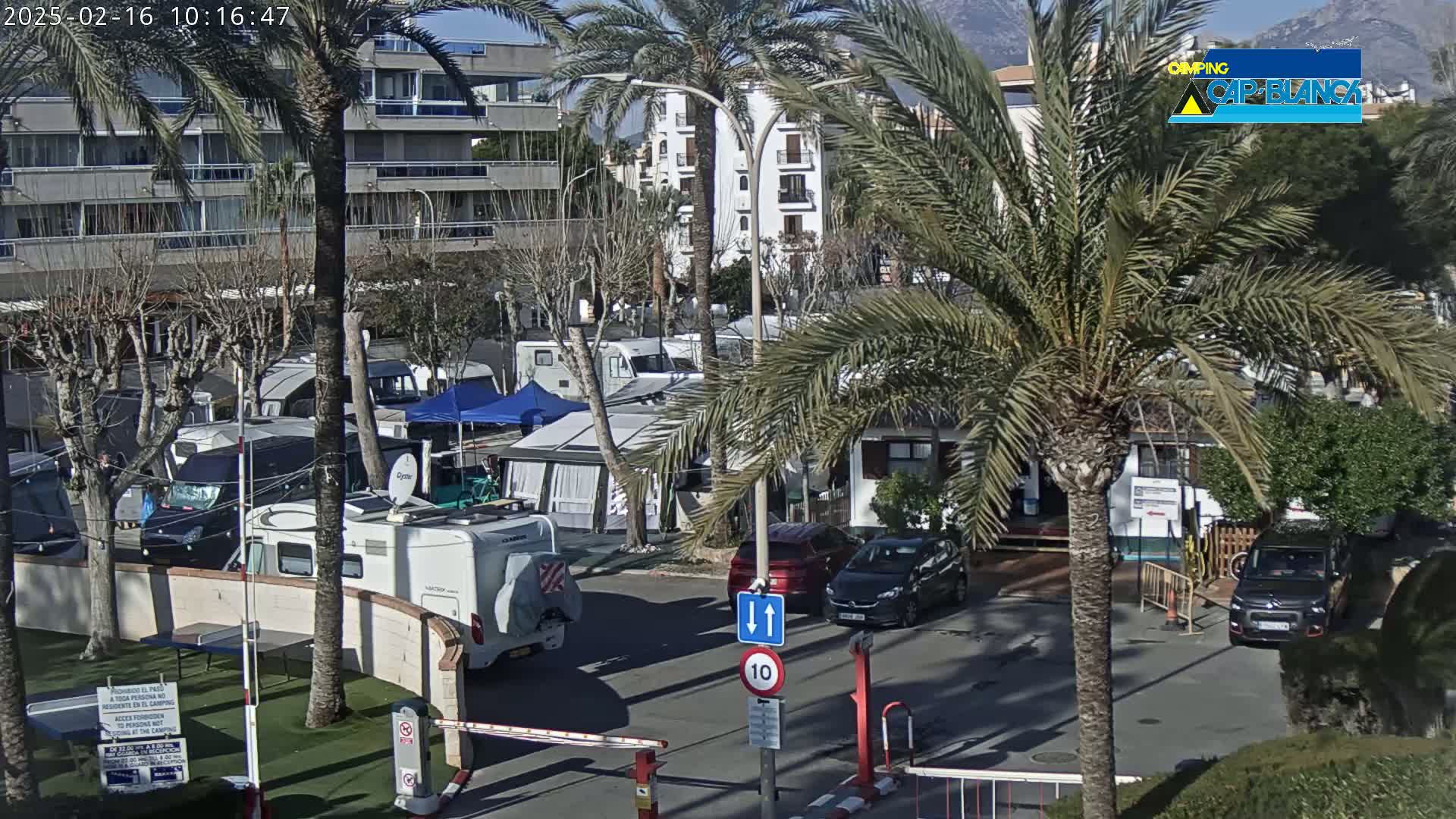 A sunny parking lot with numerous RVs and cars is surrounded by palm trees and buildings,  near a gated entrance.