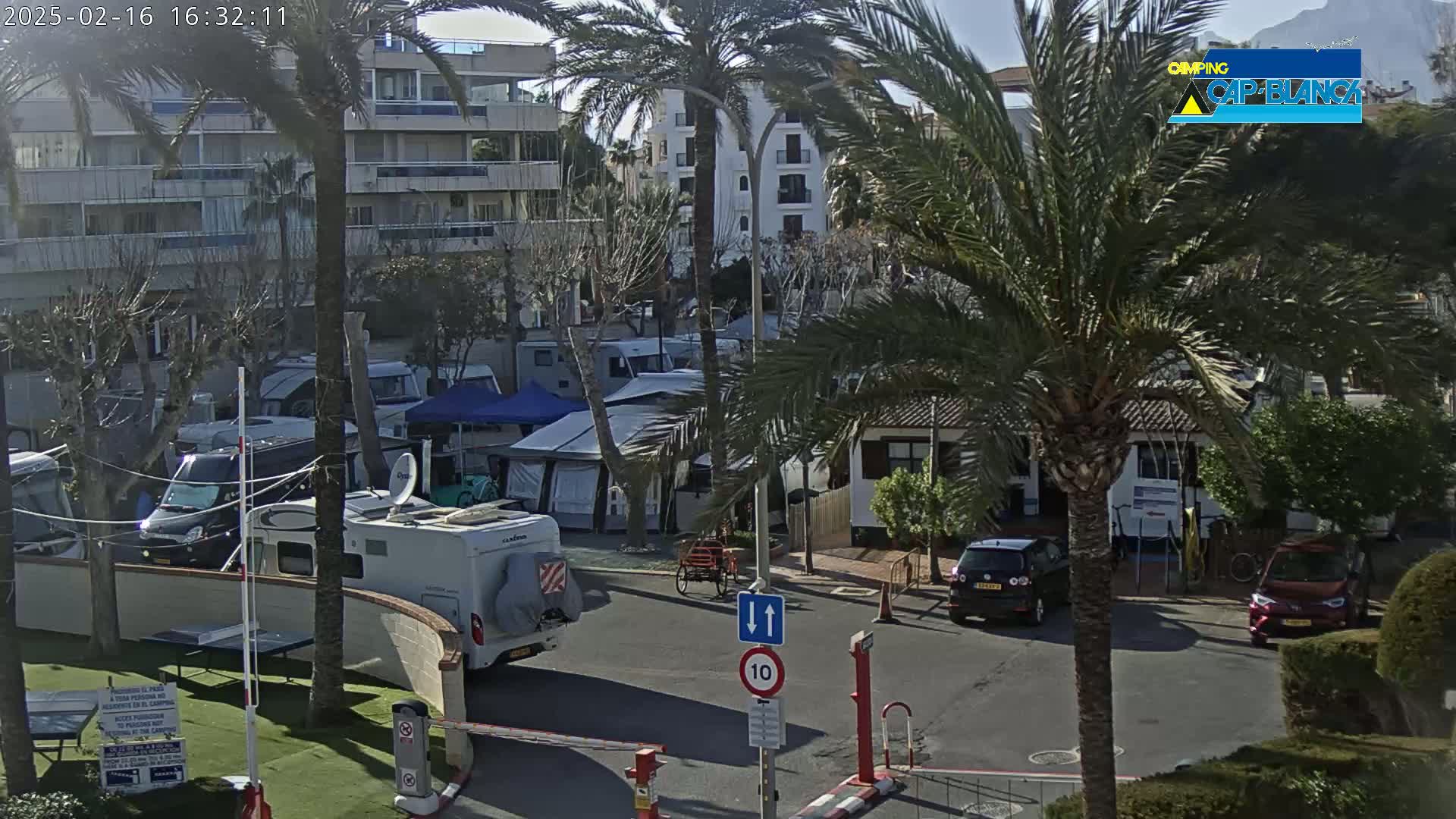 A sunny RV park with palm trees, several RVs, cars, and a building, is seen from an elevated perspective.