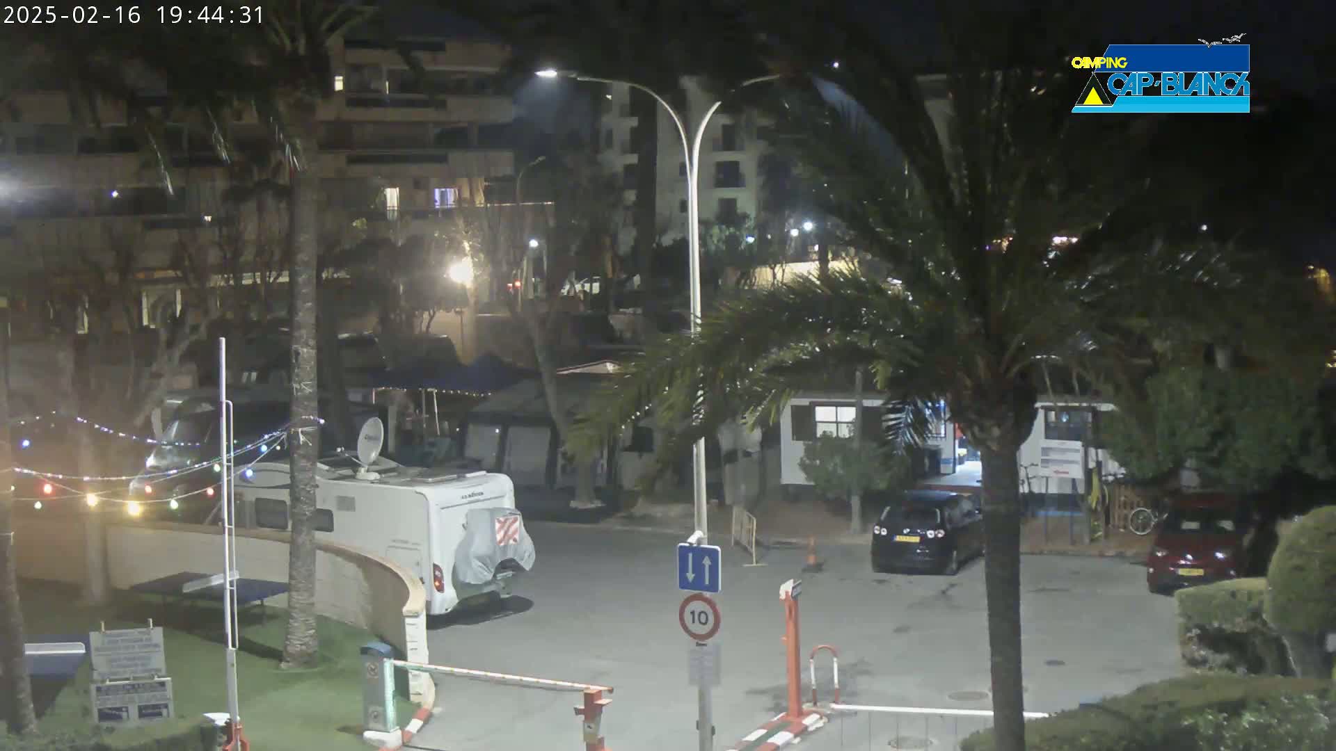 A nighttime view of a campground with several vehicles parked, including a campervan, and palm trees under a clear sky.