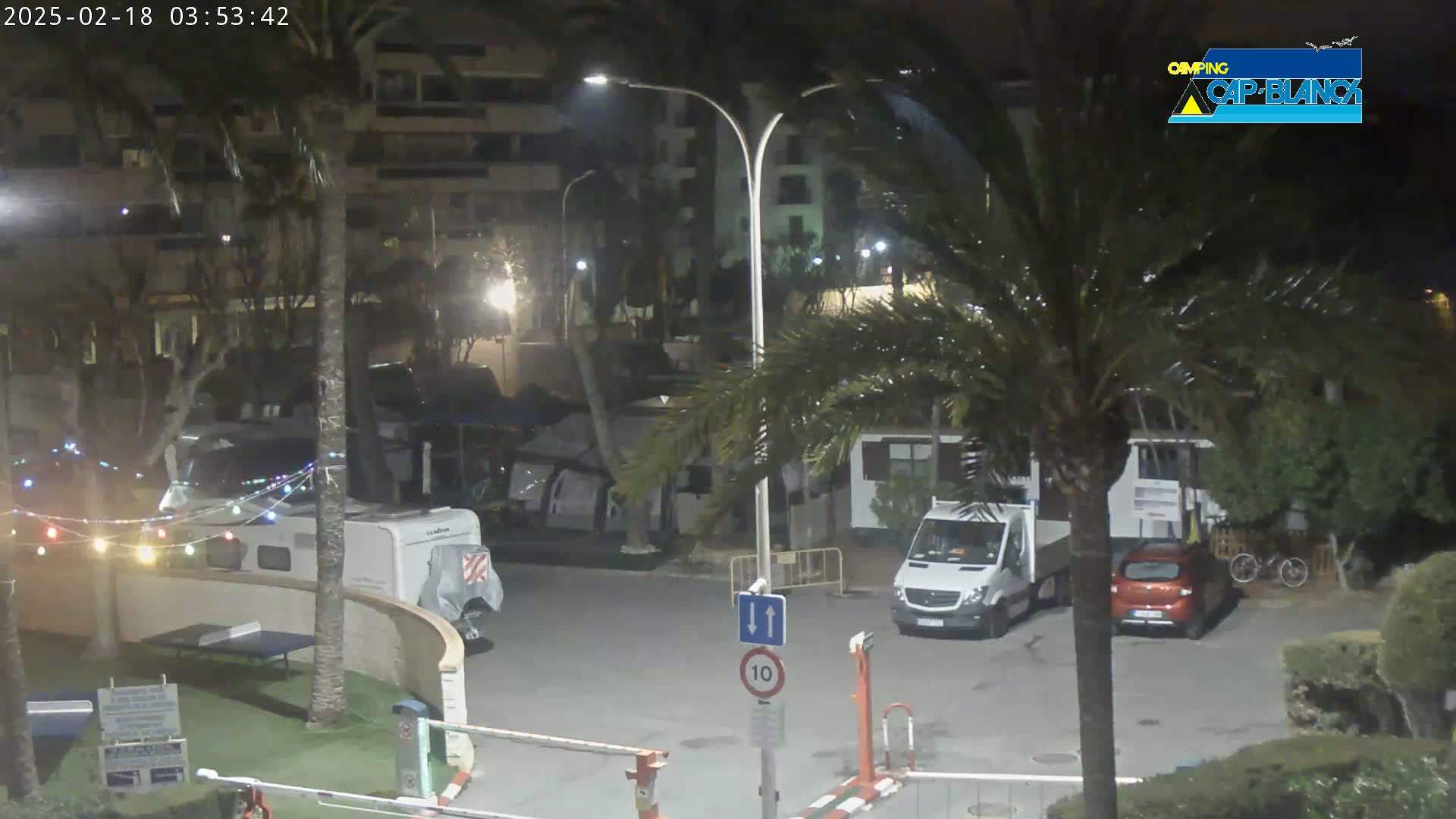 A nighttime view of a parking lot with several vehicles, including a campervan, van, and car, surrounded by palm trees and buildings, under clear skies.