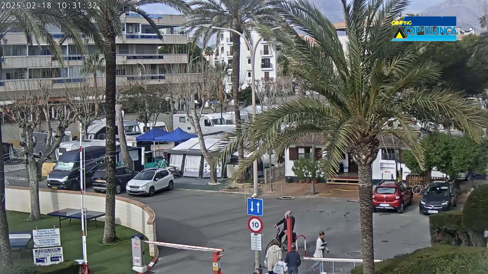 A sunny day at a campground shows numerous RVs and cars parked among palm trees and buildings, with people walking and bicycling near a gated entrance.