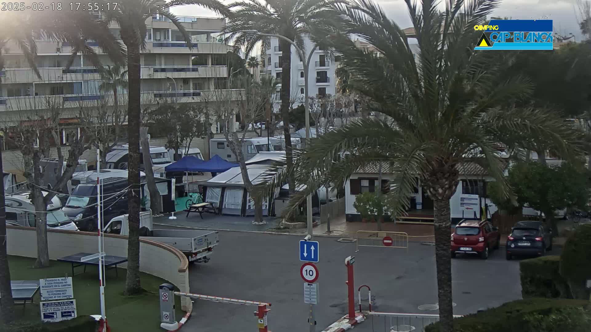 A campground with numerous campervans and tents under an overcast sky, situated near buildings and palm trees.