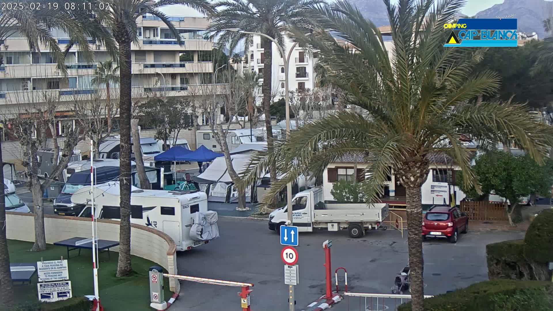 A campground with numerous RVs and tents is partially visible under an overcast sky, near buildings and palm trees.