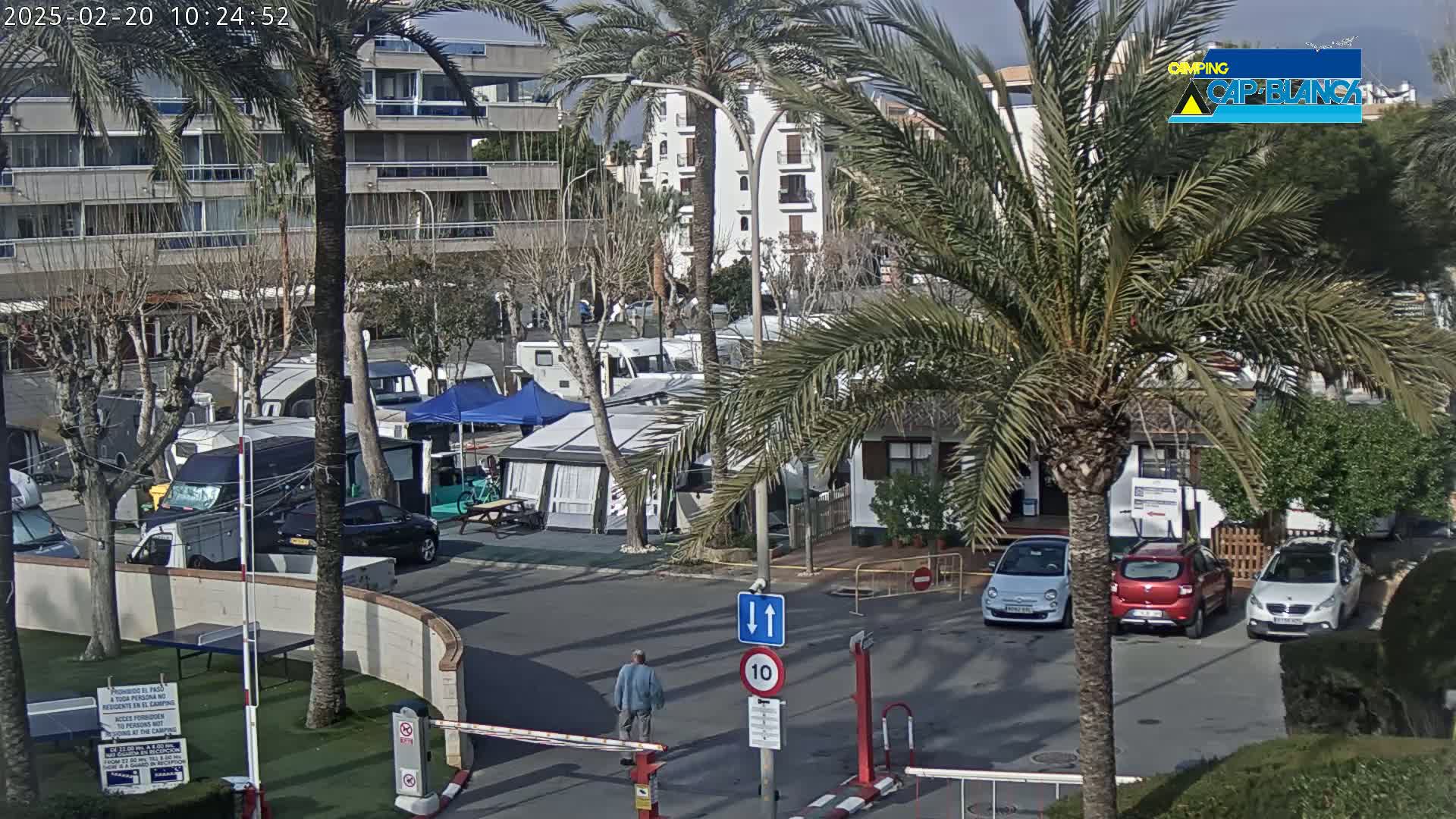 A sunny outdoor scene shows a campground with numerous RVs and tents, surrounded by palm trees, buildings, and cars in a parking lot.