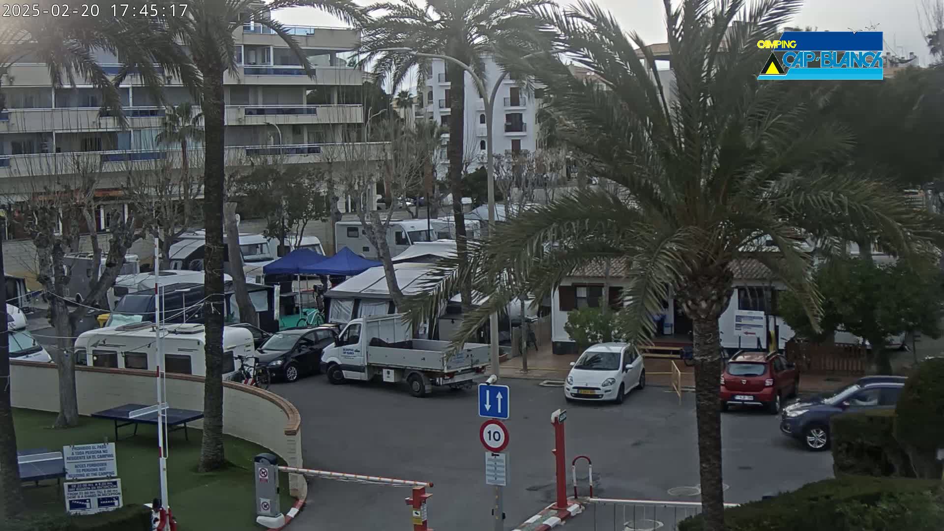 A parking lot filled with RVs and cars under an overcast sky, surrounded by palm trees and apartment buildings.