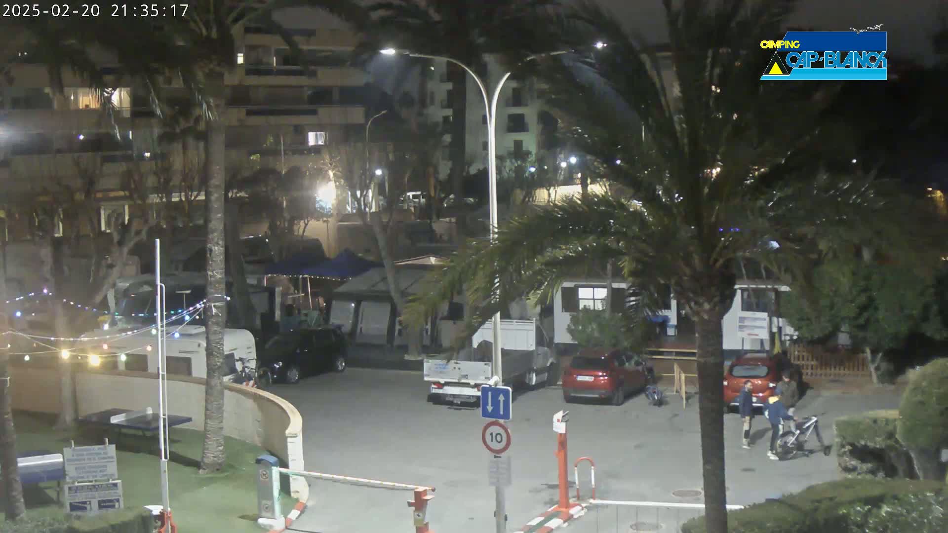 A nighttime view of a campground with cars, RVs, and palm trees, under windy conditions.