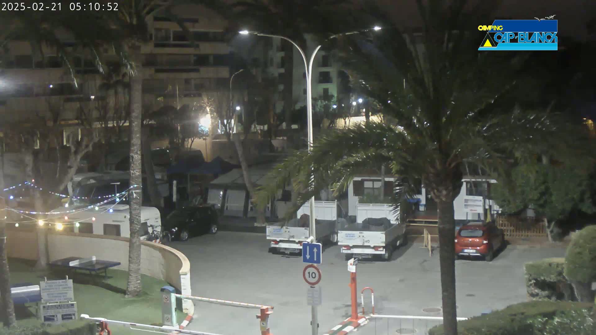 A nighttime view of a campground with several vehicles parked, palm trees swaying in the wind, and string lights strung between trees.