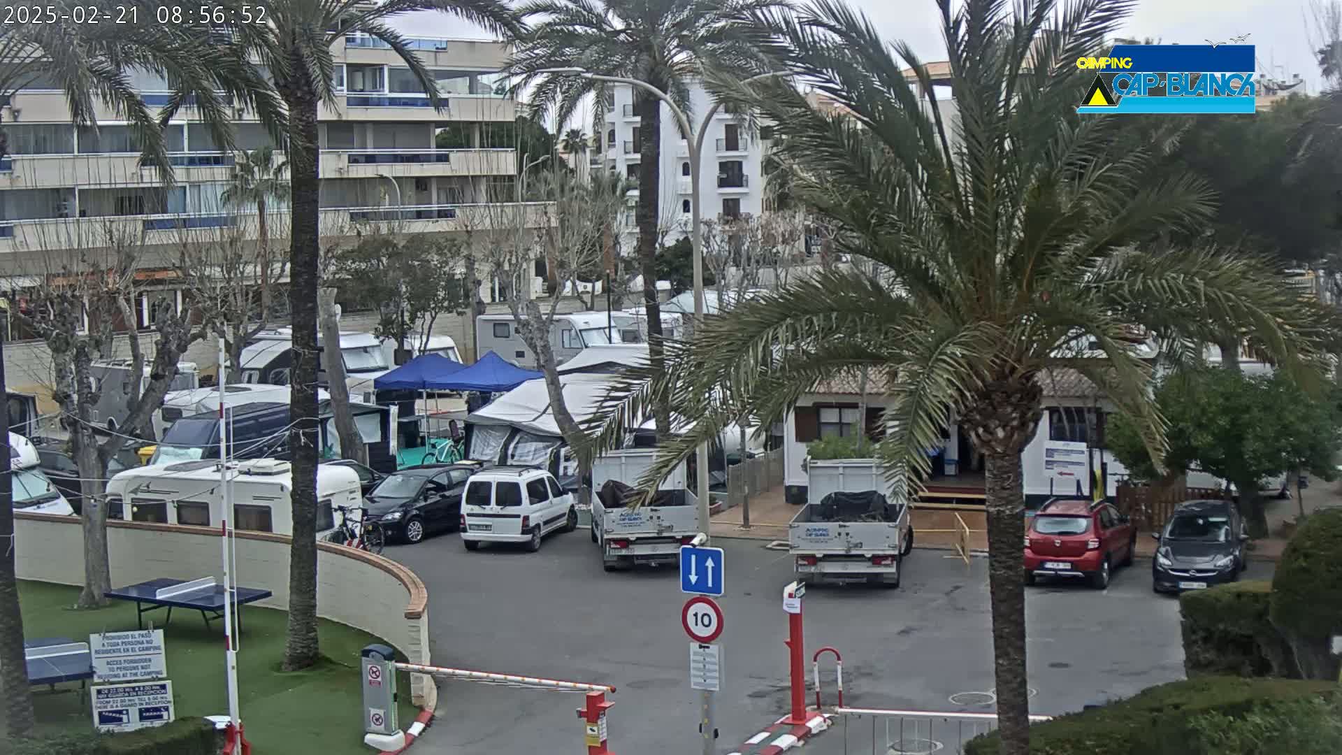 A parking lot filled with campervans and cars, under an overcast sky, is surrounded by palm trees and apartment buildings.