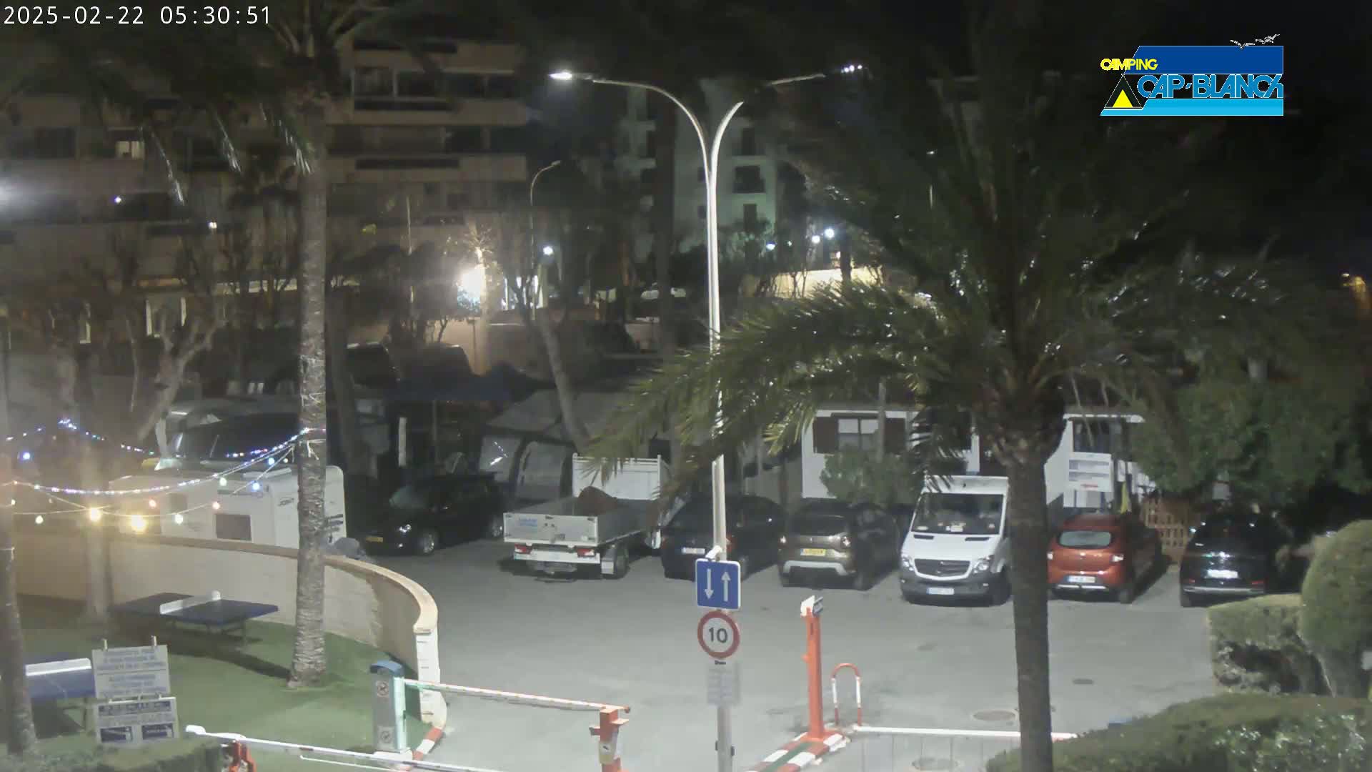 A nighttime parking lot scene with several cars and vans parked, illuminated by streetlights, under palm trees near a building.