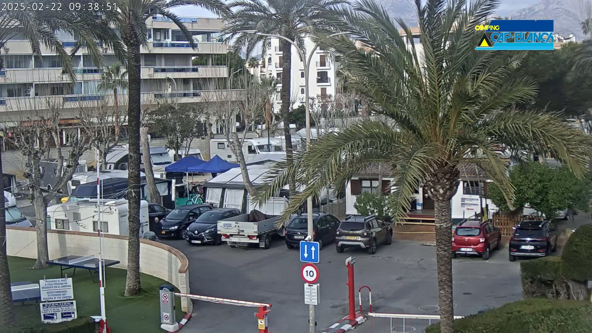 A parking lot filled with RVs and cars is partially obscured by palm trees under a mostly cloudy sky.