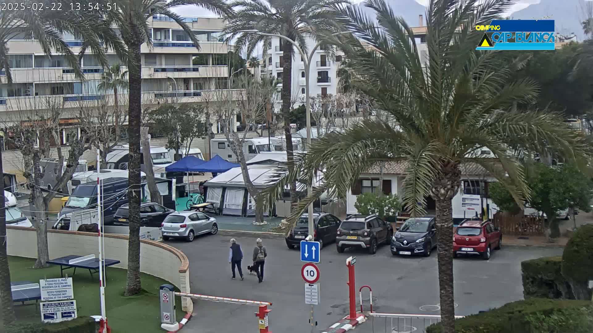 A parking lot with numerous campervans and cars, situated near apartment buildings and palm trees under an overcast sky.