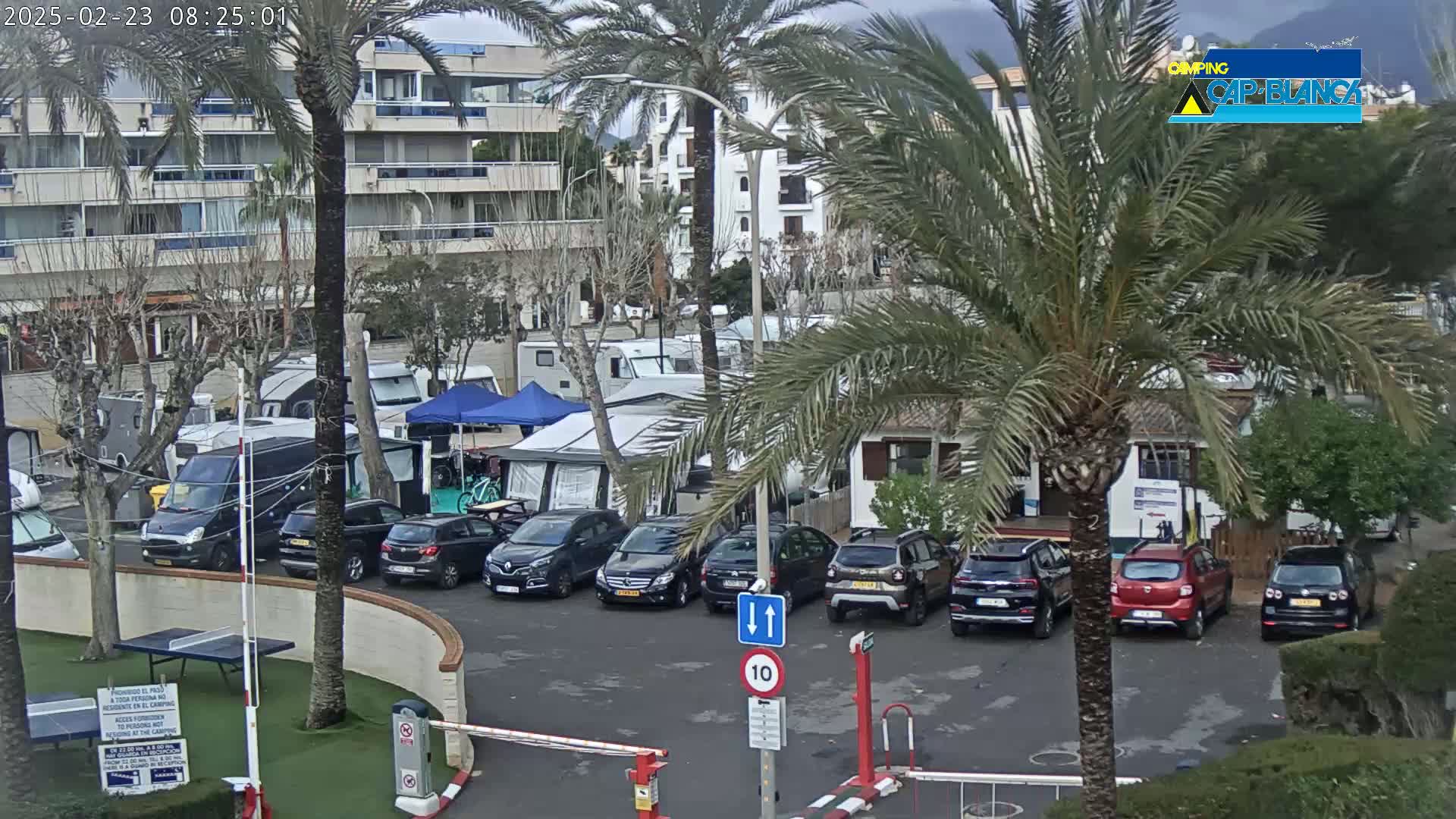 A parking lot filled with cars and campervans is situated beside a building under an overcast sky, surrounded by palm trees and low shrubs.