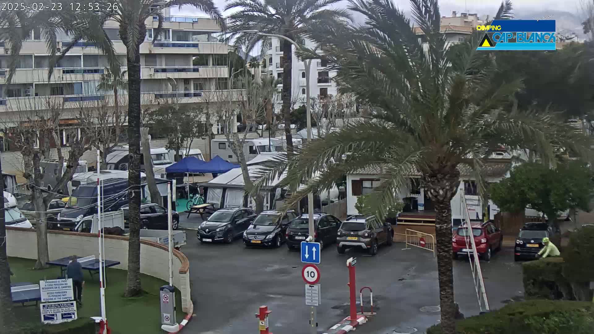 A parking lot with numerous cars and campervans is situated near a multi-story building and palm trees under an overcast sky.
