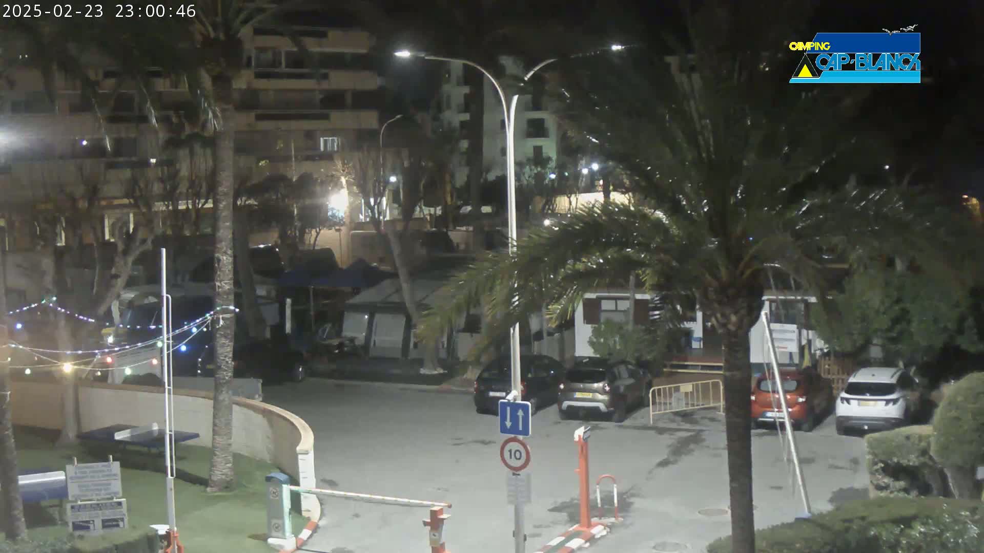 A nighttime view of a parking lot and surrounding area, with palm trees, streetlights, and several parked cars under mostly clear skies.