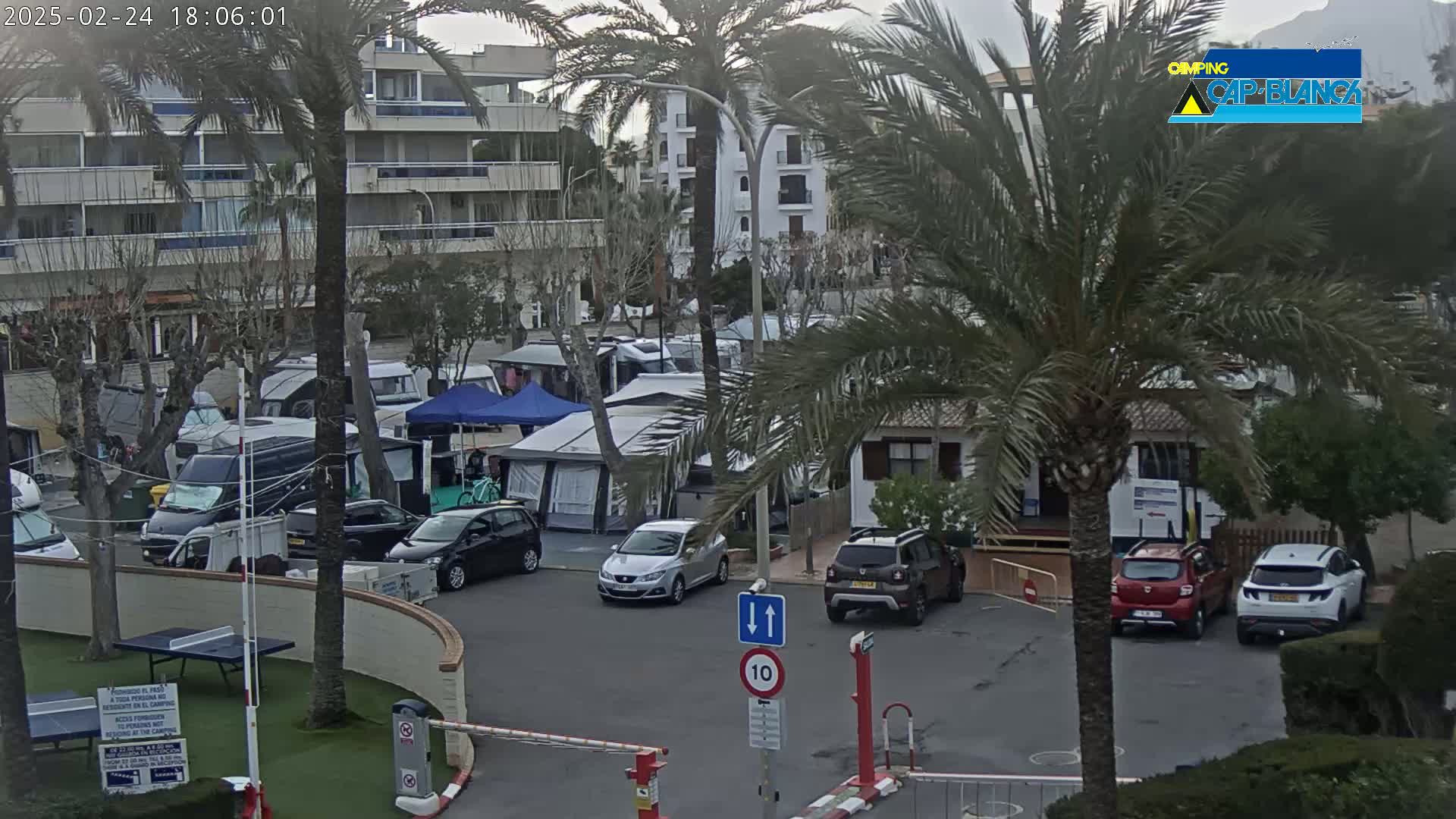A parking lot with cars and campervans is nestled between palm trees and buildings under an overcast sky.