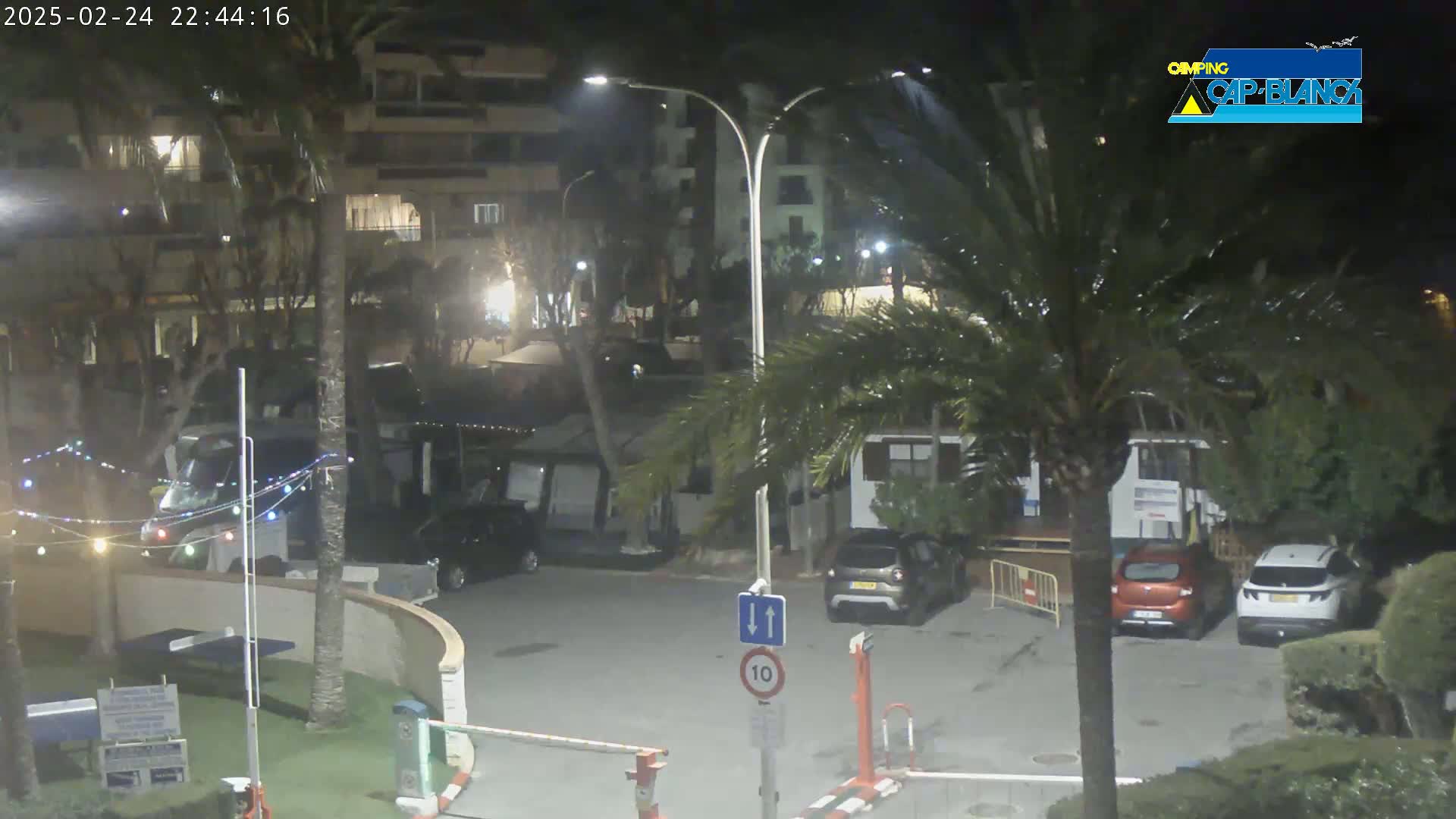 A nighttime view of a parking lot with several cars parked, situated near buildings and palm trees under slightly overcast conditions.
