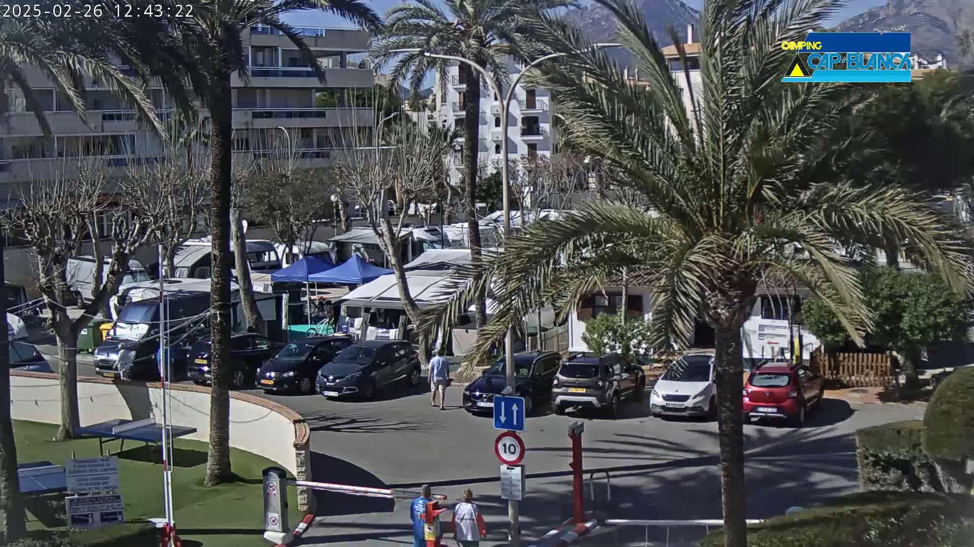 A sunny day at a campground shows numerous RVs and cars parked in a lot near buildings and palm trees.