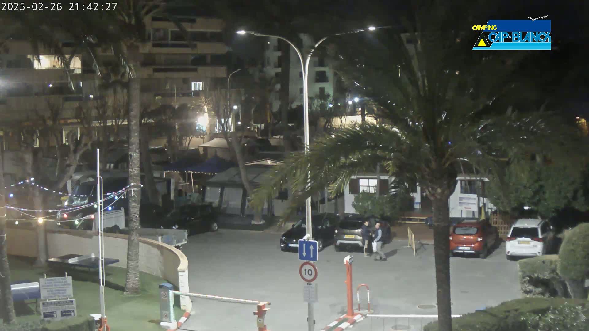 A nighttime scene shows a parking lot with several cars, palm trees, and buildings under artificial lights.