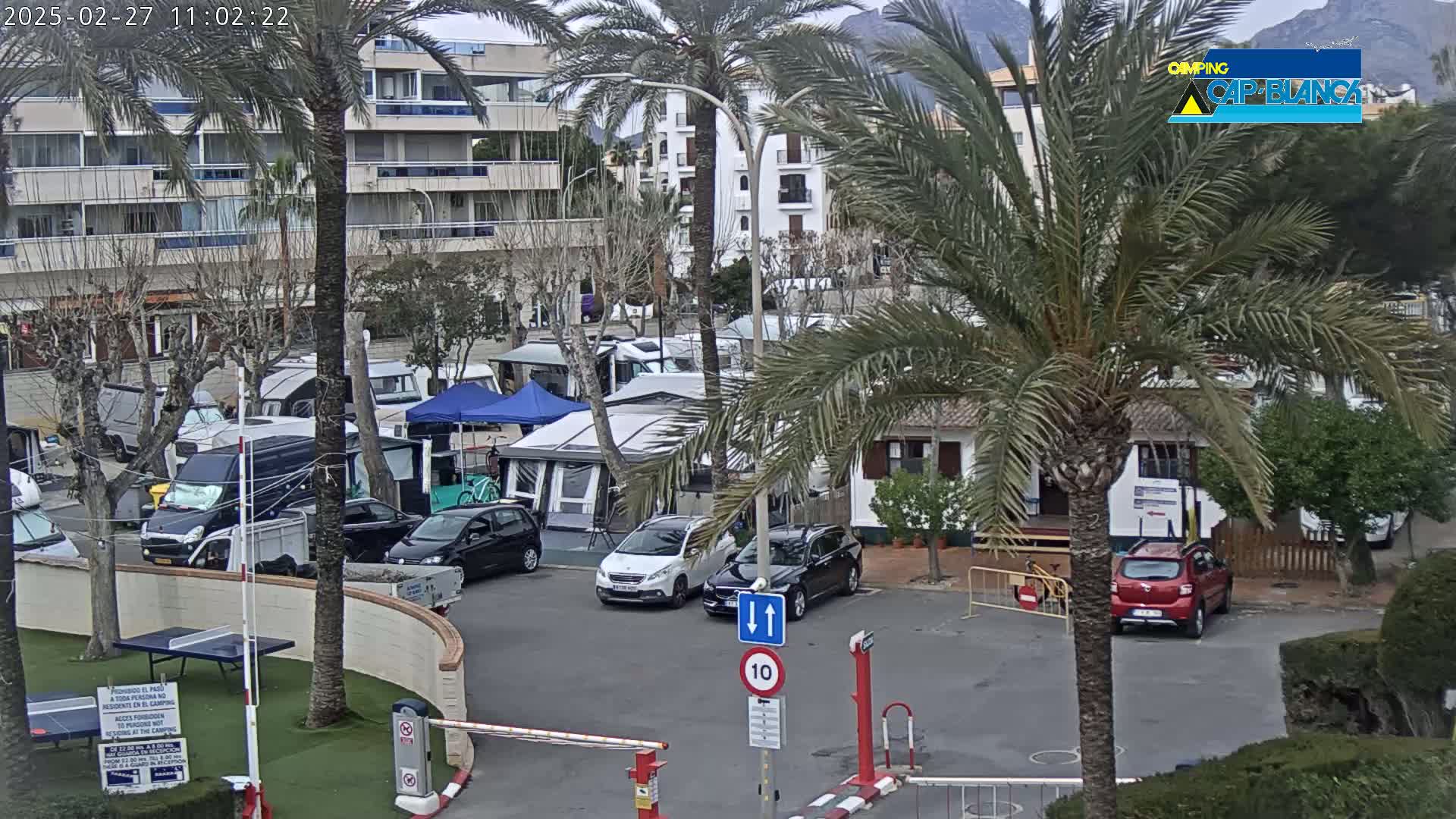 A parking lot filled with camper vans and cars, under an overcast sky, is situated near palm trees and buildings in a campground.