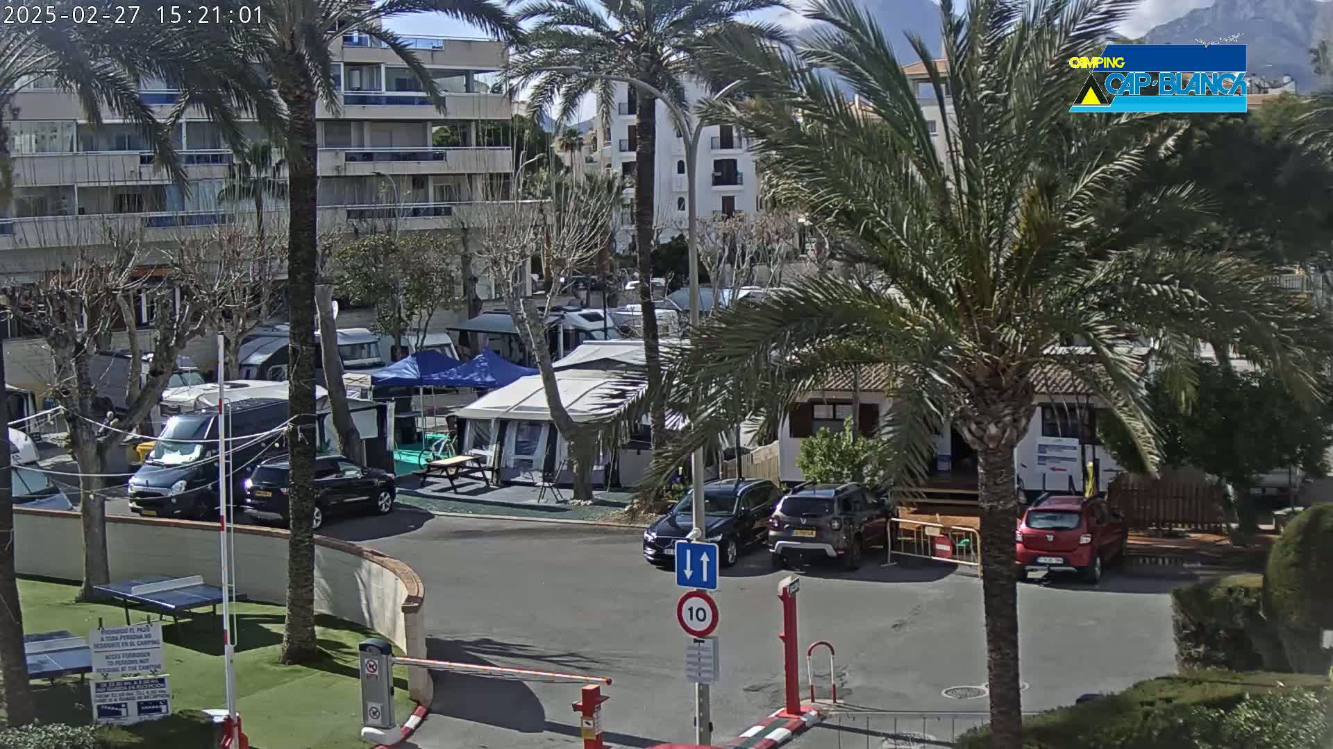 A sunny day at a campground with numerous RVs, cars, and palm trees, situated near a multi-story building.