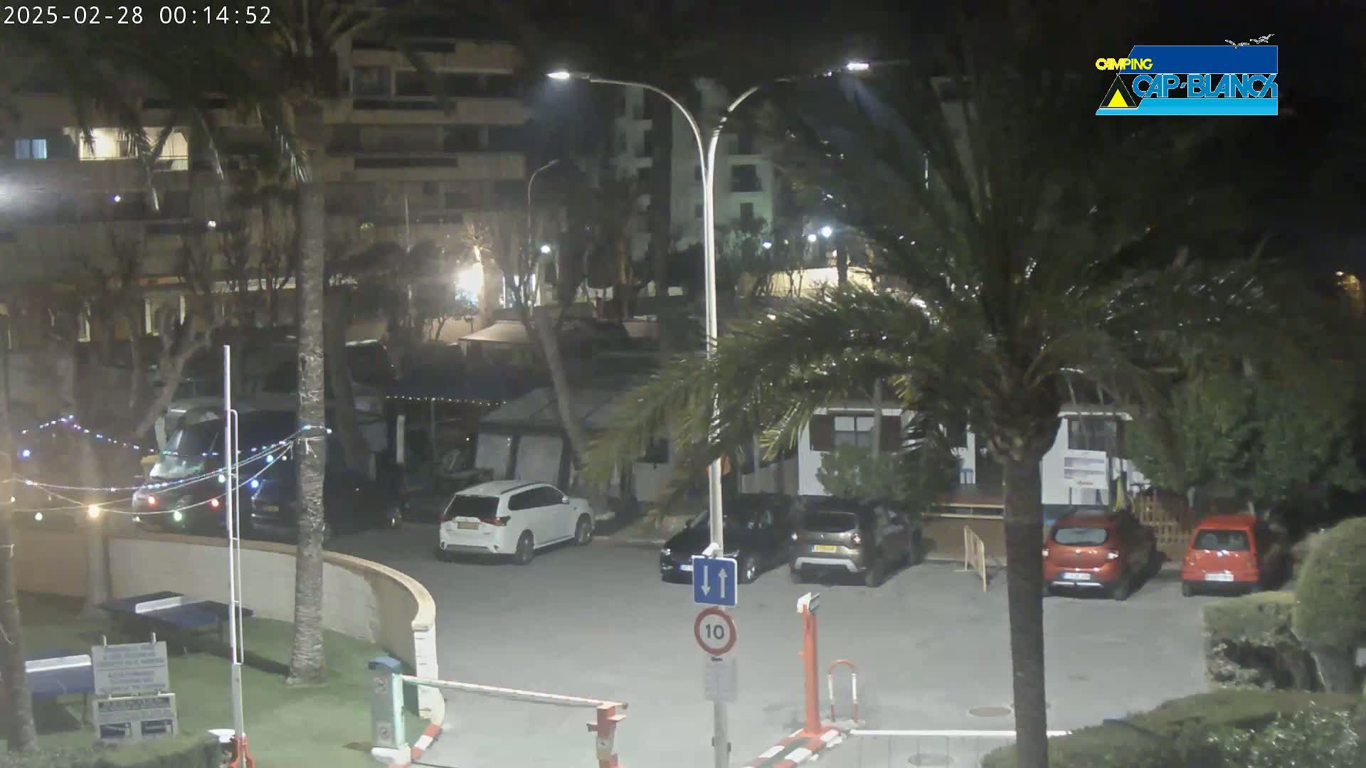 A nighttime view of a parking lot with several cars, palm trees, and buildings under clear skies.
