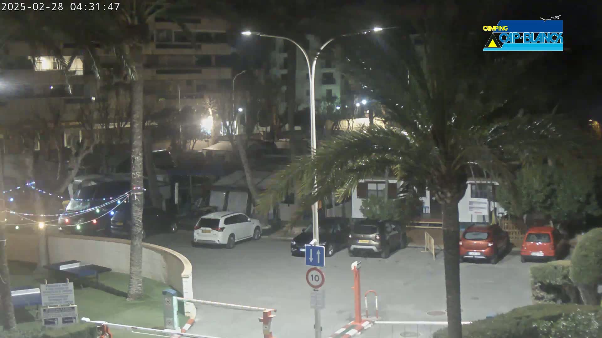 A nighttime view of a parking lot with several cars, palm trees, and a building, illuminated by streetlights.