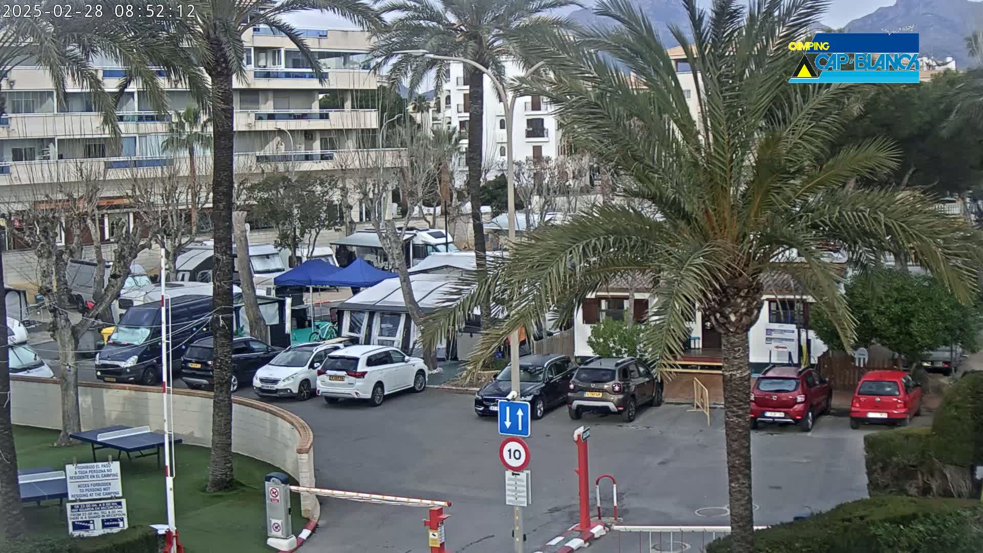 A parking lot with numerous cars, camper vans, and tents is nestled between palm trees and a multi-story building under a partly cloudy sky.