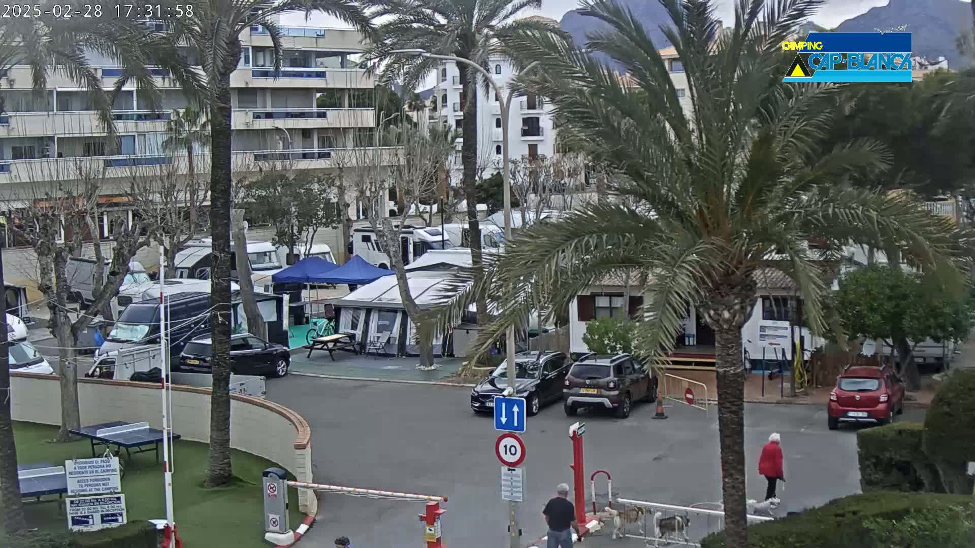 A campervan park with numerous RVs and cars, under a partly cloudy sky, is situated near buildings and palm trees.