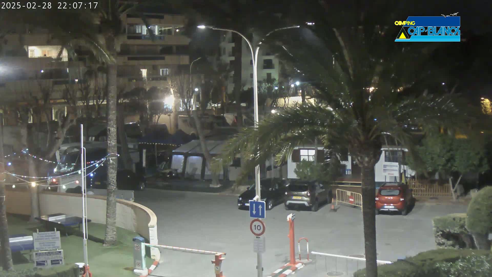 A nighttime parking lot with several cars and RVs near buildings and palm trees under slightly windy conditions.