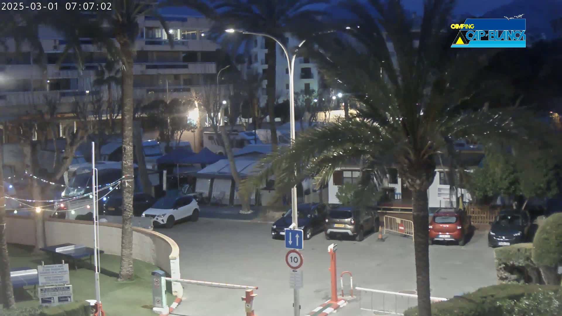 A nighttime view of a parking lot with several cars and RVs, surrounded by palm trees and buildings under a dark sky.