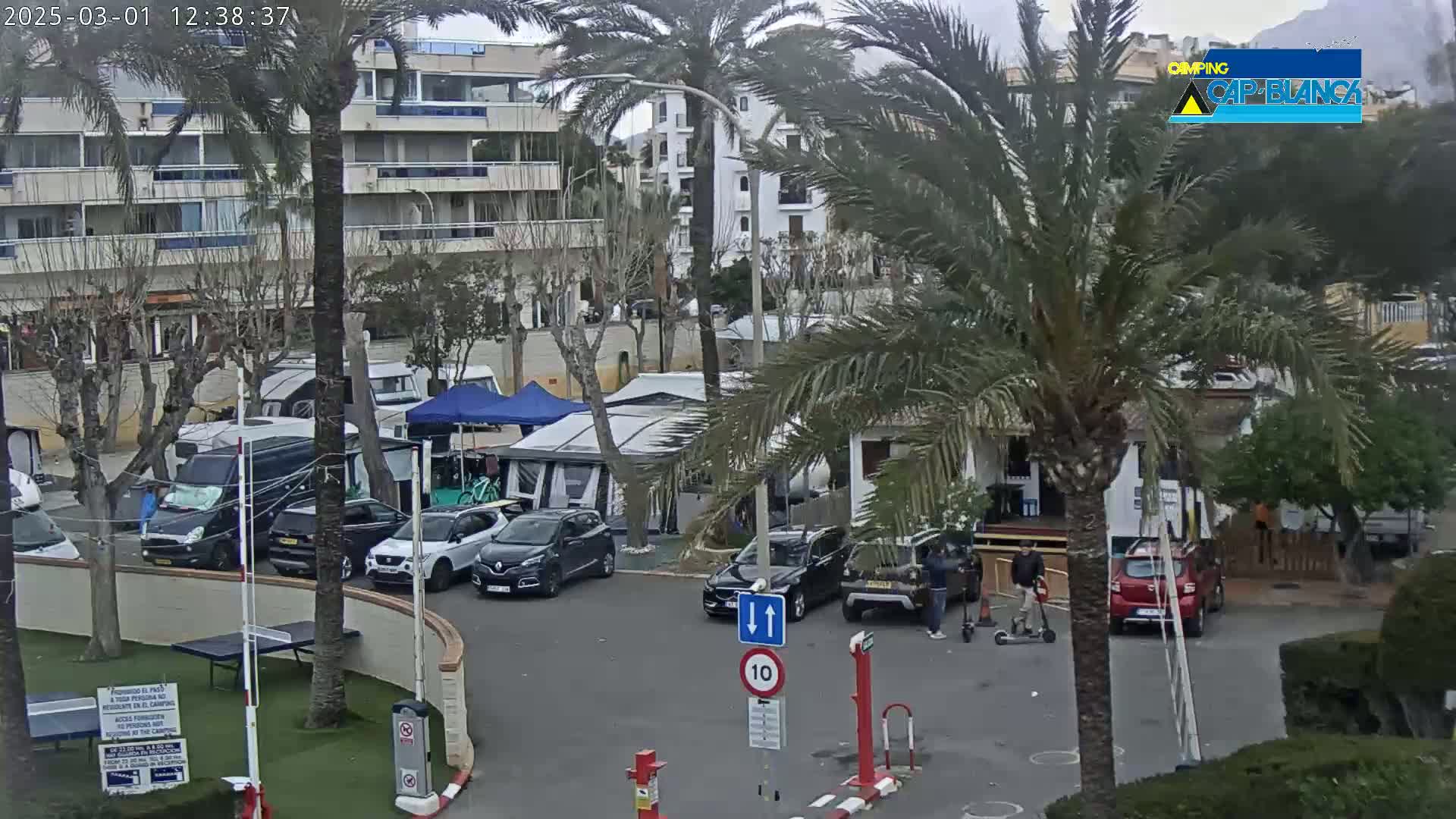 An overcast day at a campground shows numerous parked cars and RVs among palm trees and a multi-story building.