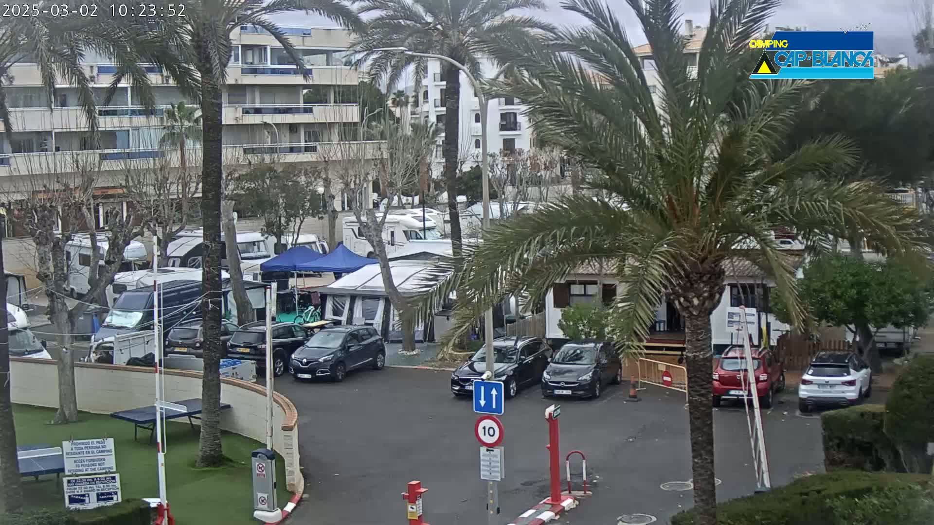 A parking lot with numerous RVs and cars, surrounded by palm trees and apartment buildings, under an overcast sky.