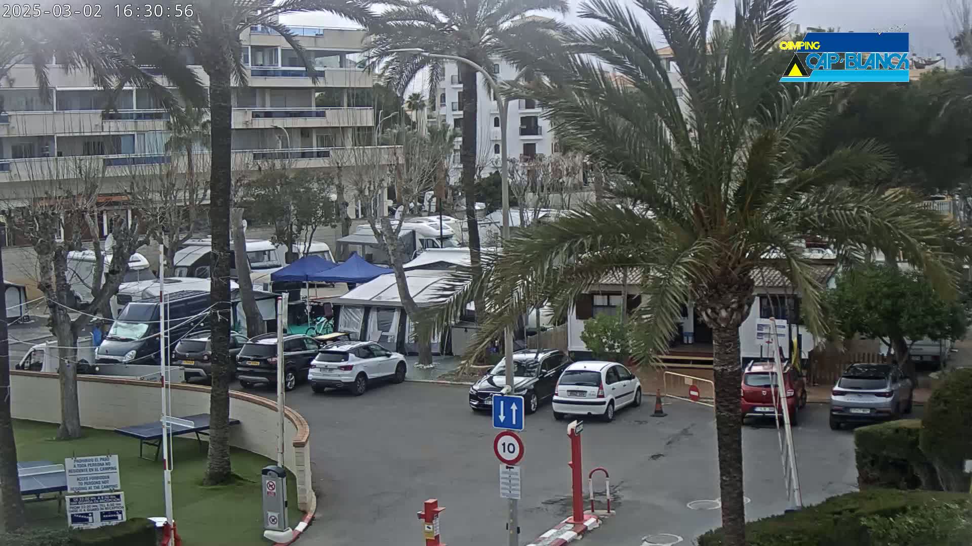 A parking lot with numerous RVs and cars is partially surrounded by palm trees and a multi-story building under an overcast sky.