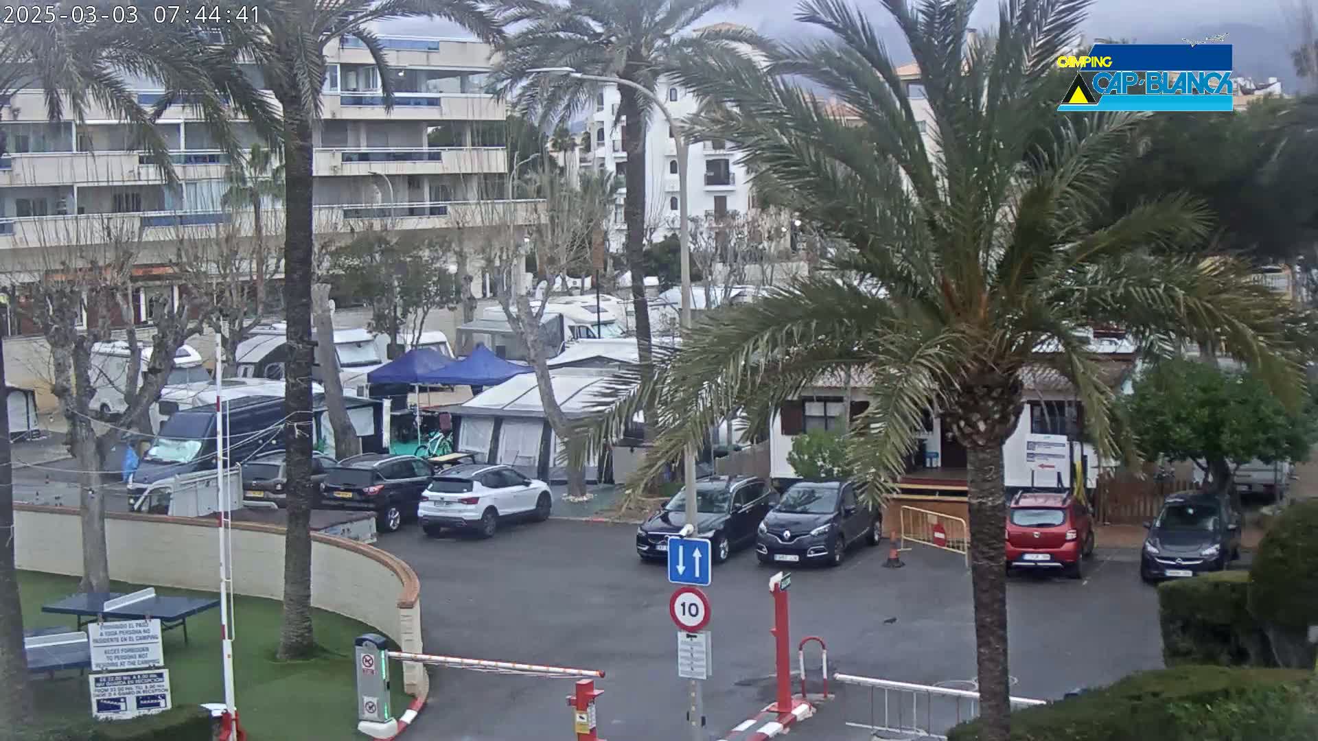 A parking lot with numerous cars and campervans is situated near a multi-story building and palm trees, under an overcast sky.