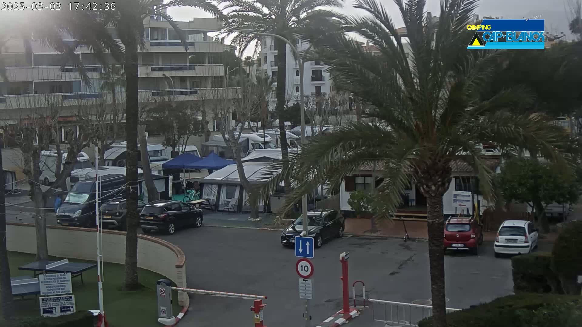 A parking lot with numerous RVs and cars is partially visible, surrounded by palm trees and buildings under an overcast sky.