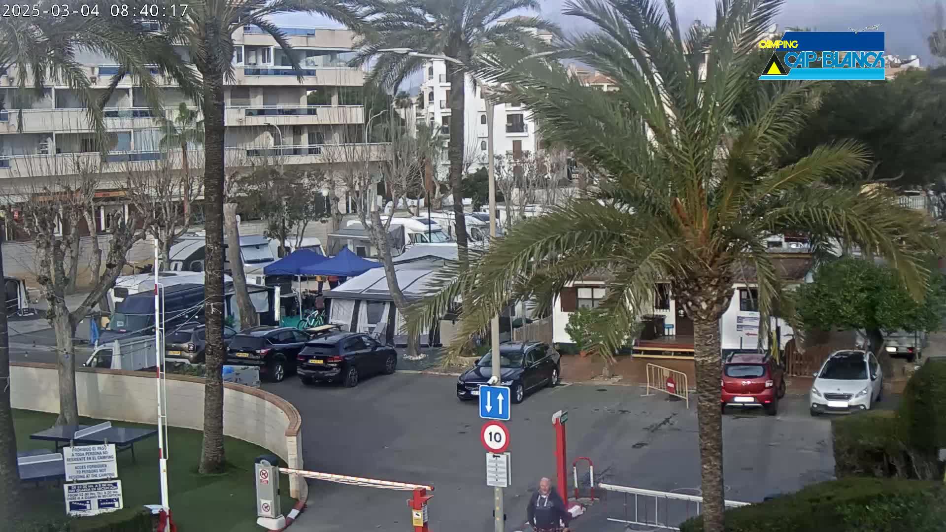 A parking lot with numerous RVs and cars is partially visible, surrounded by palm trees and buildings under an overcast sky.