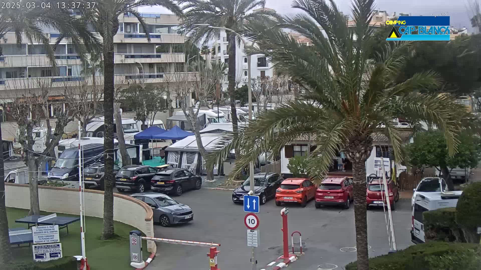 A parking lot filled with camper vans and cars is surrounded by palm trees and buildings under an overcast sky.