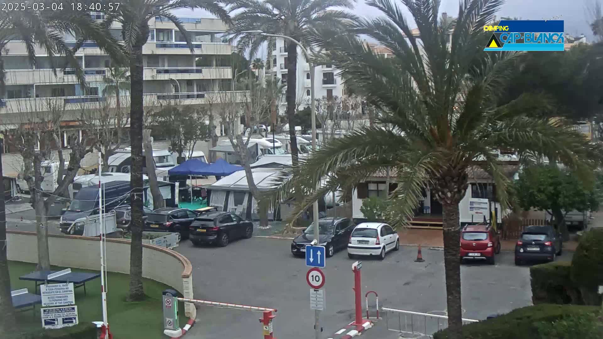 A parking lot filled with camper vans and cars under an overcast sky, surrounded by palm trees and apartment buildings.