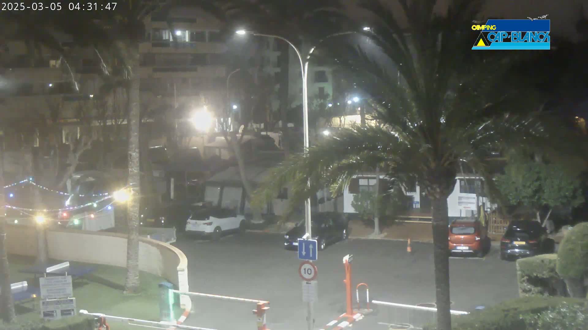 A nighttime scene of a parking lot with several cars and buildings visible through rain-swept palm trees under dim lighting.