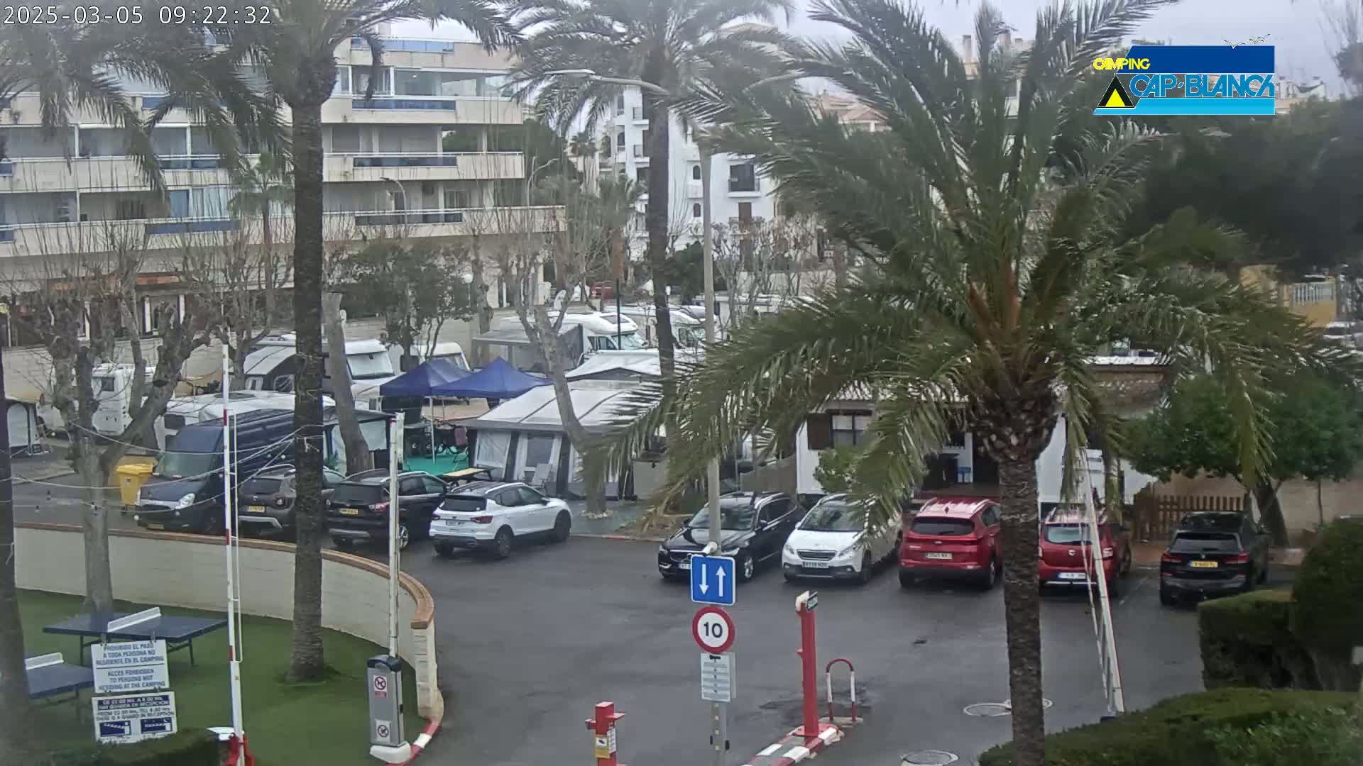 A parking lot filled with cars and recreational vehicles is partially visible, under an overcast sky, near buildings and palm trees.
