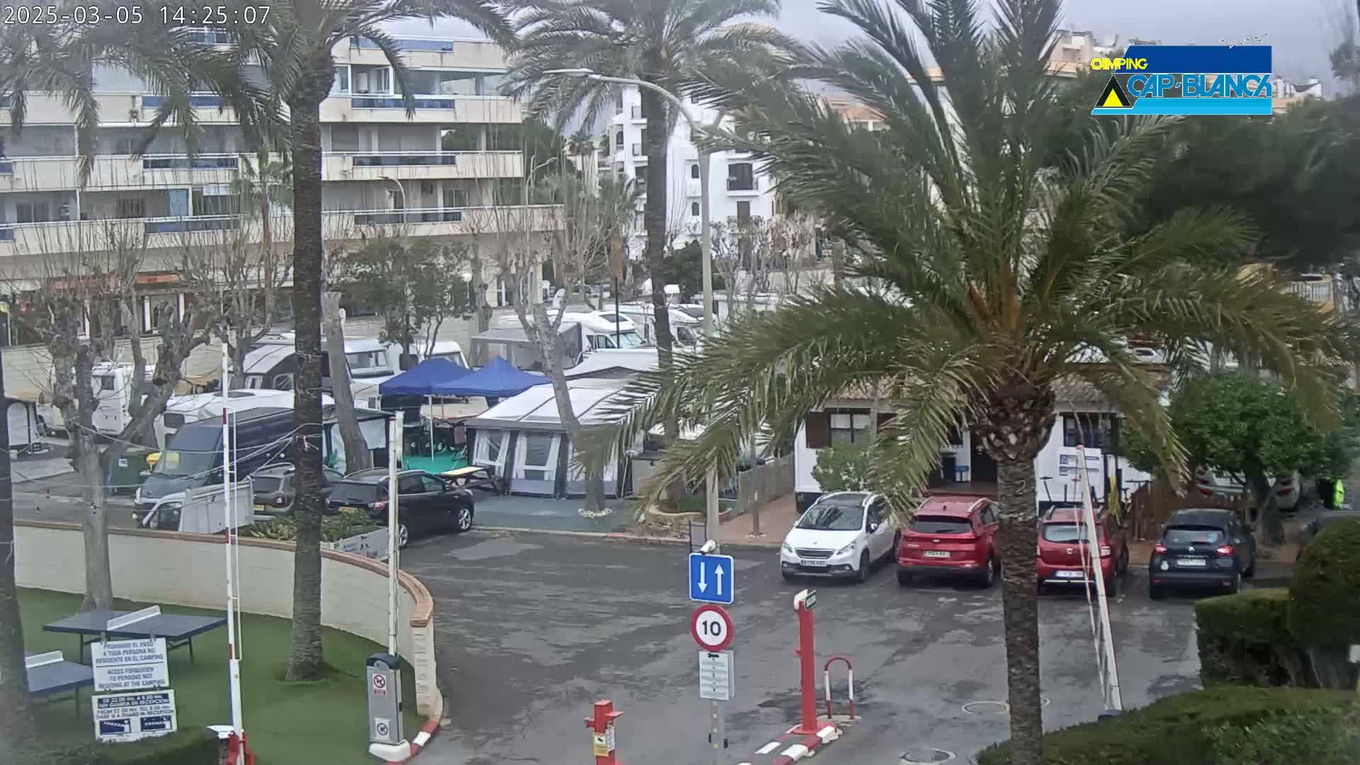 A wet parking lot with numerous campervans and cars, situated between palm trees and apartment buildings under an overcast sky.