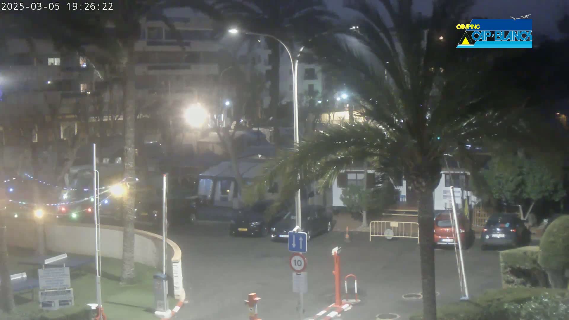A nighttime outdoor scene shows a parking lot with several cars and a camper van, surrounded by palm trees and buildings under windy conditions.